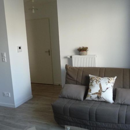 דירות סן-ז'אן-דה-בריי Pour Visiter Ou Travailler Dans Le Loiret מראה חיצוני תמונה